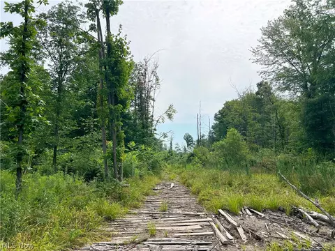 Gane Road, Williamsfield, OH 44093 photo 8
