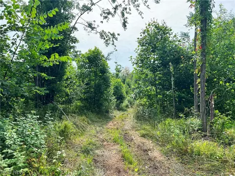 Gane Road, Williamsfield, OH 44093 photo 9