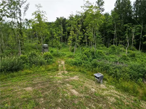 Gane Road, Williamsfield, OH 44093 photo 25