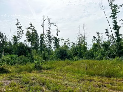 Gane Road, Williamsfield, OH 44093 photo 11
