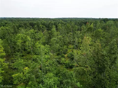 Gane Road, Williamsfield, OH 44093 photo 27
