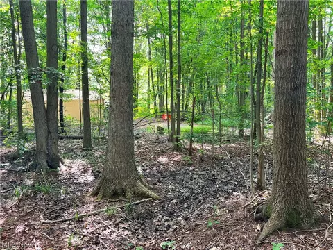 Gane Road, Williamsfield, OH 44093 photo 22