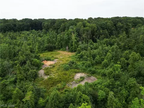Gane Road, Williamsfield, OH 44093 photo 5
