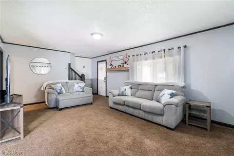 491 Maplewood Ave, Struthers, OH 44471 photo 6