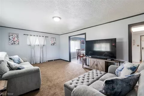 491 Maplewood Ave, Struthers, OH 44471 photo 5