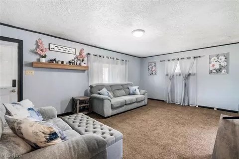 491 Maplewood Ave, Struthers, OH 44471 photo 4
