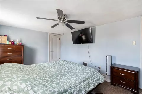 491 Maplewood Ave, Struthers, OH 44471 photo 19