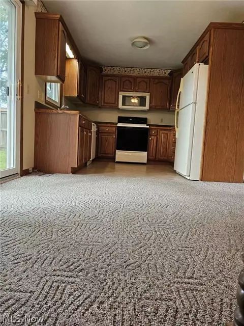 Kitchen - 705 University Ave, Elyria, OH 44035 photo 3 of 3