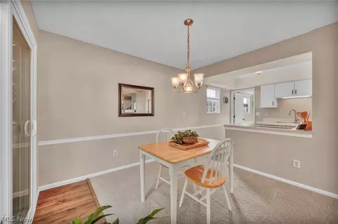 9820 Stratton Ct, Mentor, OH 44060 photo 22