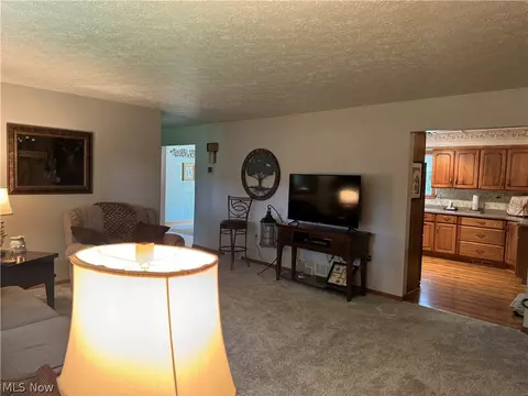 942 Webster Rd, Jefferson, OH 44047 photo 7