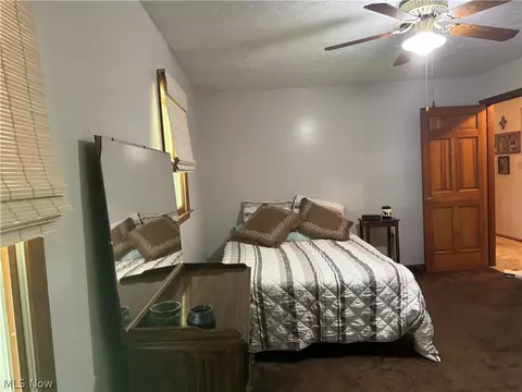 942 Webster Rd, Jefferson, OH 44047 photo 21