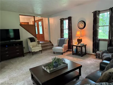 942 Webster Rd, Jefferson, OH 44047 photo 5