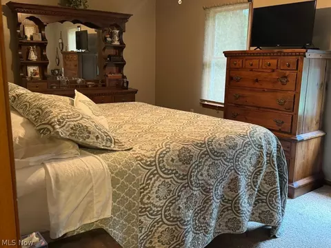 942 Webster Rd, Jefferson, OH 44047 photo 19