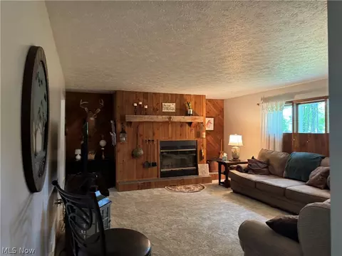 942 Webster Rd, Jefferson, OH 44047 photo 8