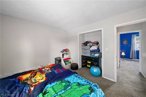 9059 Spring Dr, Windham, OH 44288 photo 31