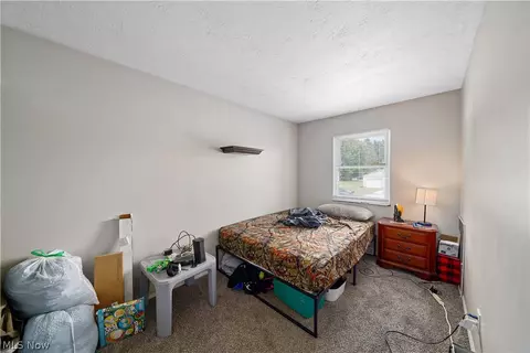 9059 Spring Dr, Windham, OH 44288 photo 32