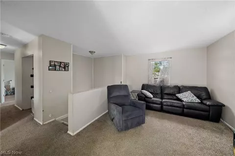 9059 Spring Dr, Windham, OH 44288 photo 21
