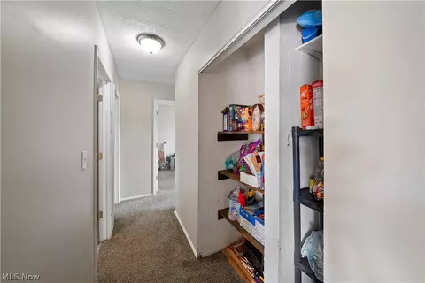 9059 Spring Dr, Windham, OH 44288 photo 28