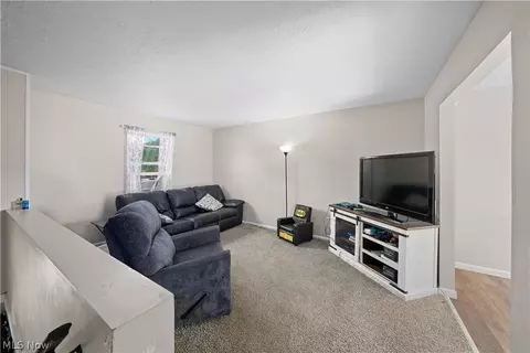 9059 Spring Dr, Windham, OH 44288 photo 20