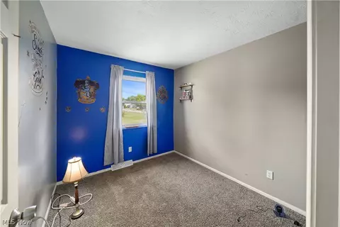 9059 Spring Dr, Windham, OH 44288 photo 34