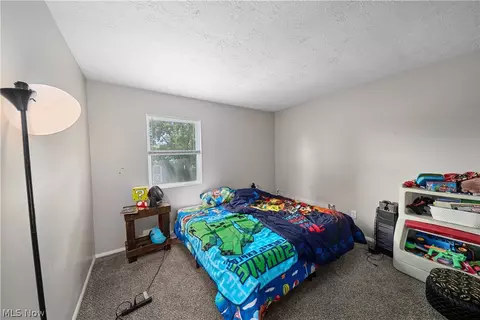 9059 Spring Dr, Windham, OH 44288 photo 30
