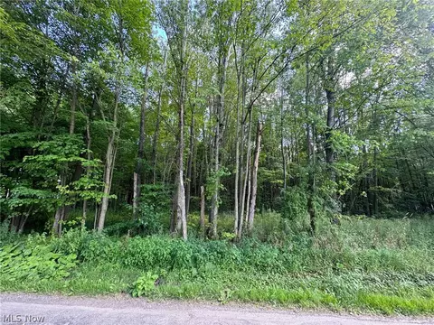 V/l Haines Road, Bloomfield, OH 44076