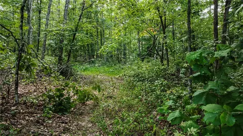 1187 Umstead Ridge Rd, Creston, WV 26141