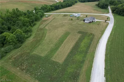 View/Area - 73950 Chaney Rd, Flushing, OH 43977 photo 2 of 3