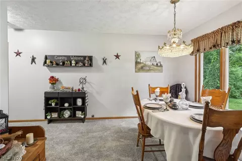 2919 S Ridge Rd E, Ashtabula, OH 44004 photo 8