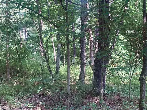 Haiti Road, Salineville, OH 43945