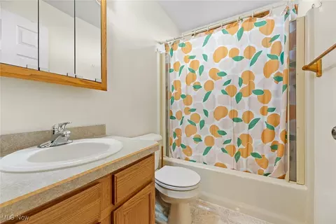 Bath - 43128 Albrecht Rd, Elyria, OH 44035 photo 3 of 3