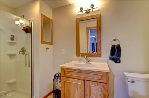 601 Longstreet, Lagrange, OH 44050 photo 36