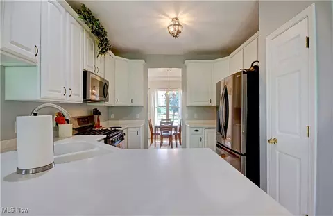 601 Longstreet, Lagrange, OH 44050 photo 14
