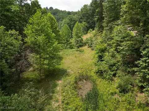 001 Moore Fork Rd, Duck, WV 25063 photo 2