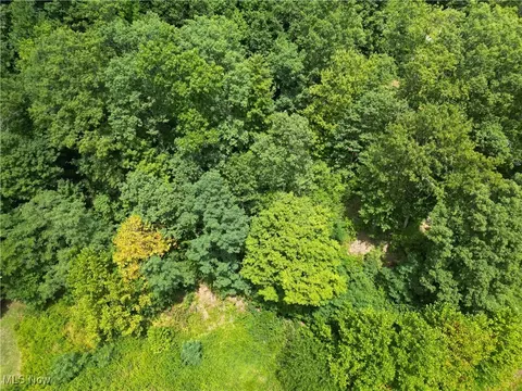 003 Moore Fork Rd, Duck, WV 25063 photo 2