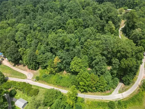 003 Moore Fork Rd, Duck, WV 25063 photo 3