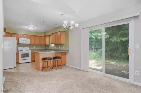 4222 Pine Dr, Rootstown, OH 44272 photo 27