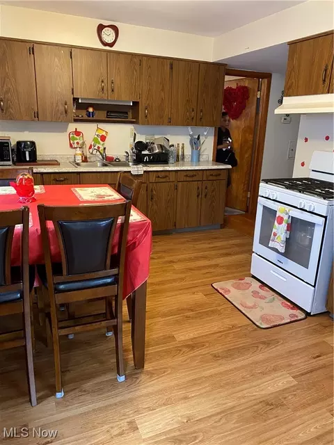 673 Babbitt Rd, Euclid, OH 44123 photo 19