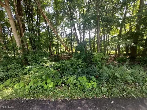 lundys lane LOT 1253, Lake Milton, OH 44429