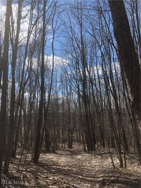 Neimans Avenue Se, East Canton, OH 44730