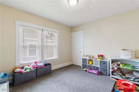 137 Hamilton St, Elyria, OH 44035 photo 20