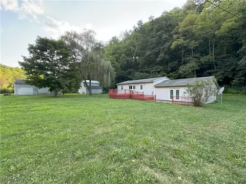 48013 E Brown Peavine Rd, Alledonia, OH 43902