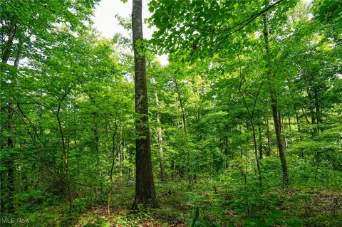St Rt 83, Beverly, OH 43728 photo 7