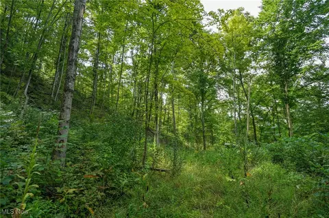 St Rt 83, Beverly, OH 43728 photo 9