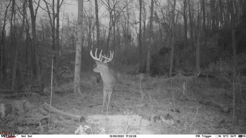 St Rt 83, Beverly, OH 43728 photo 28