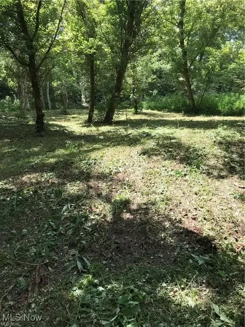 00 Walker Rd, Walker, WV 26180 photo 4