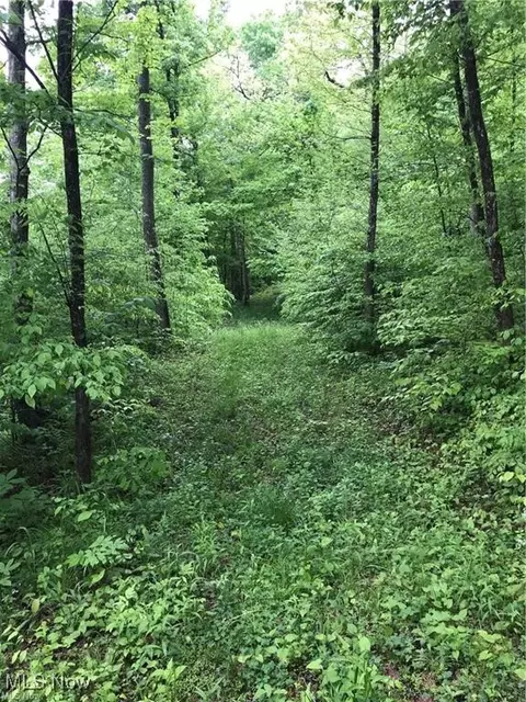 00 Walker Rd, Walker, WV 26180 photo 6
