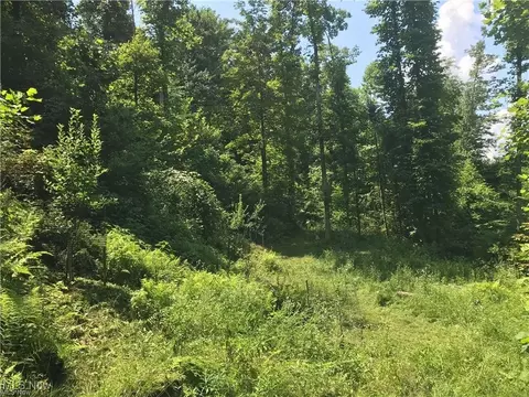 00 Walker Rd, Walker, WV 26180 photo 5
