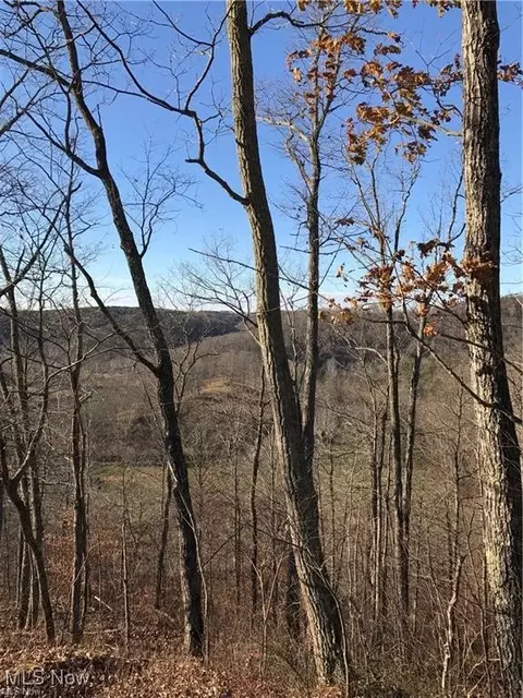 00 Walker Rd, Walker, WV 26180 photo 3