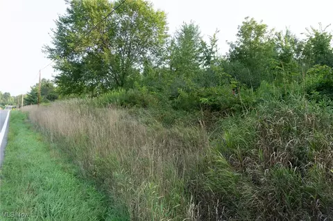 E Pleasant Home Road, Marshallville, OH 44645